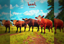 Bent Friends remixes album art