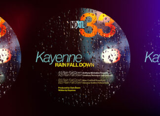 Kayenne Rain Fall Down Remixes album art